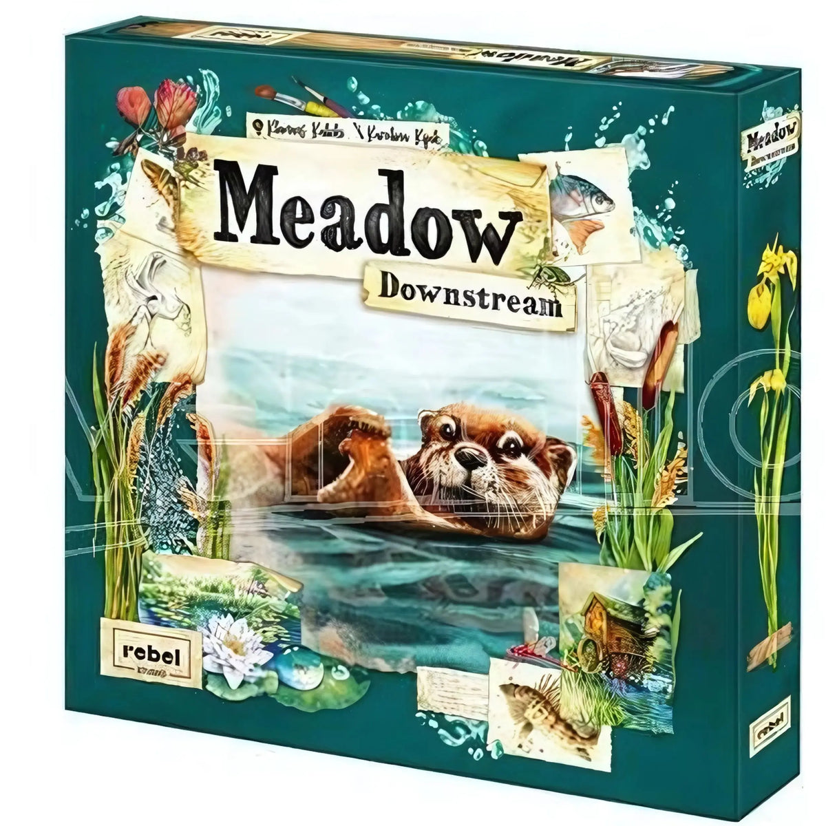 Meadow - Downstream - Espansione