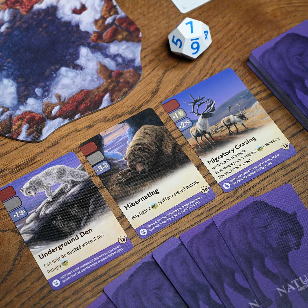 Nature - Arctic Tundra