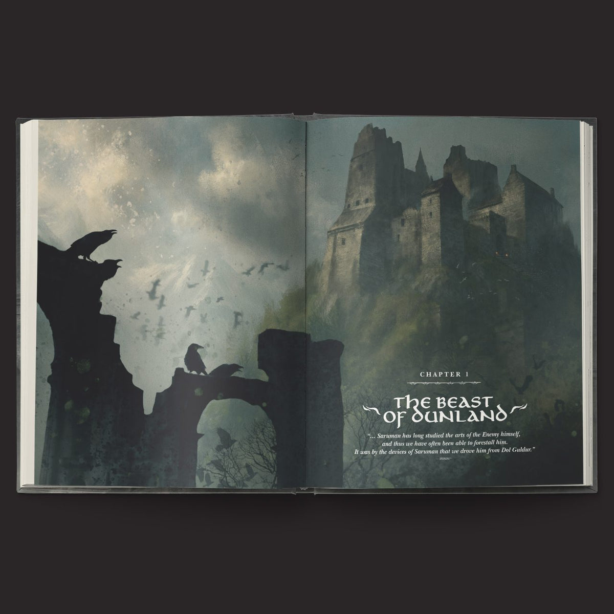 The One Ring RPG Hands of the White Wizard