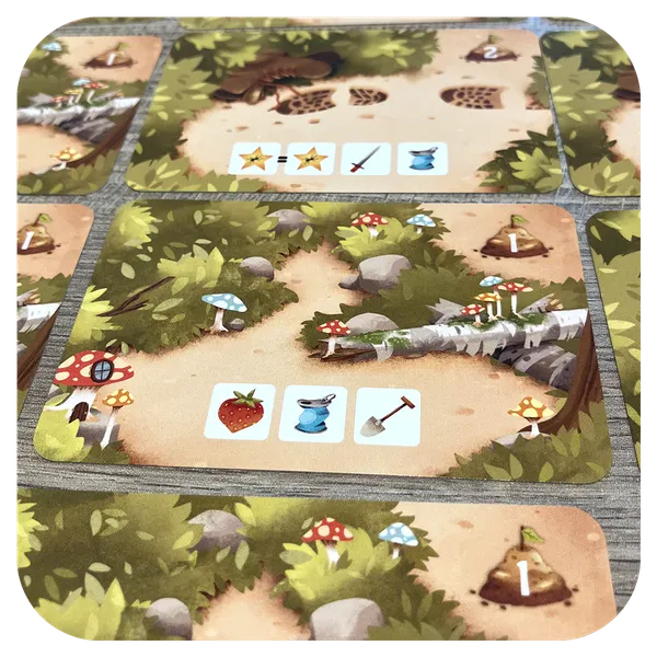 Antscape 