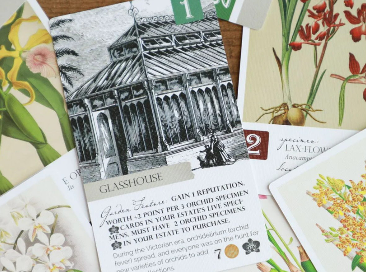 Botany - Ossessione di Orchidee