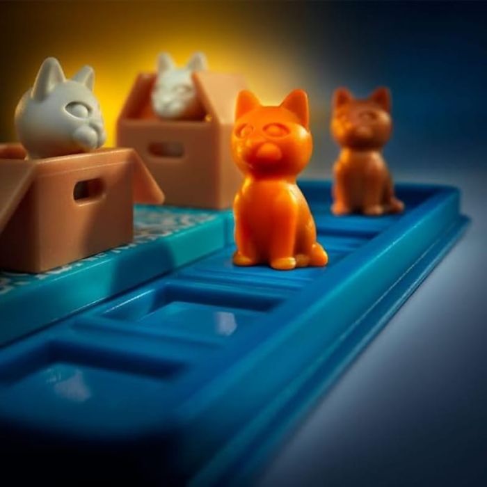 Gatti in Scatola