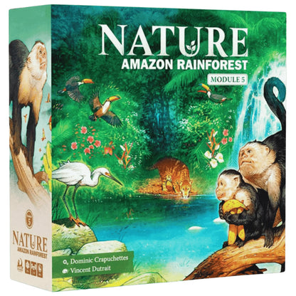 Nature: Amazon Rainforest