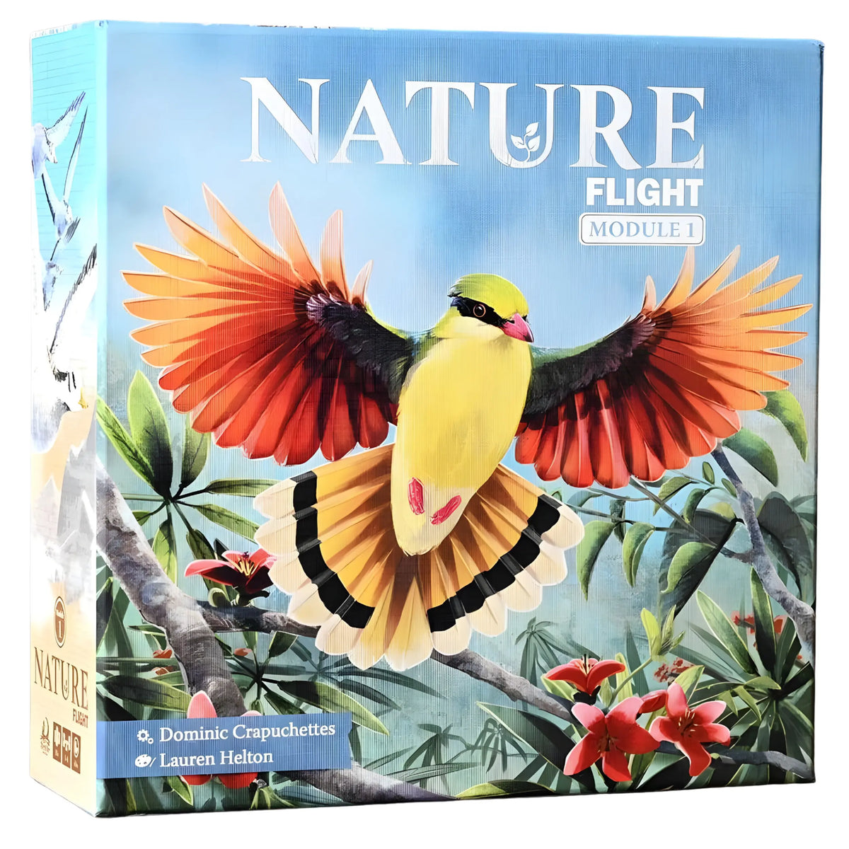 Nature - Flight