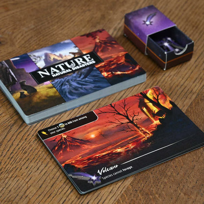 Nature Natural Disasters 