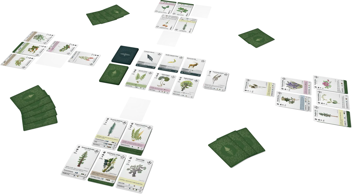 Reforest - Plants of the Pacific Northwest Coast 