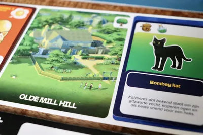 The Sims - Board Game 