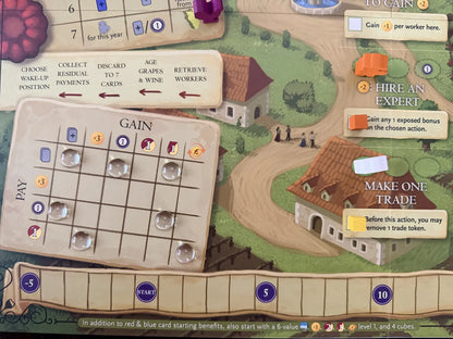 Viticulture Bordeaux
