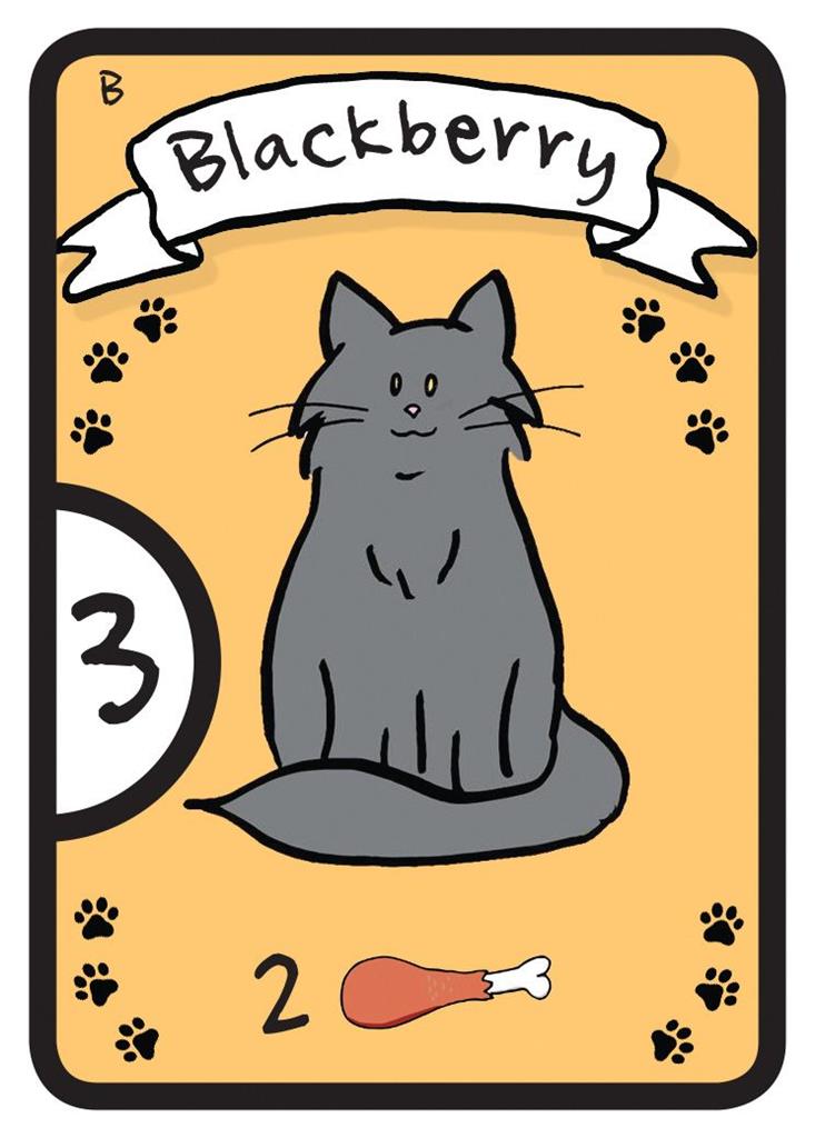Cat Lady