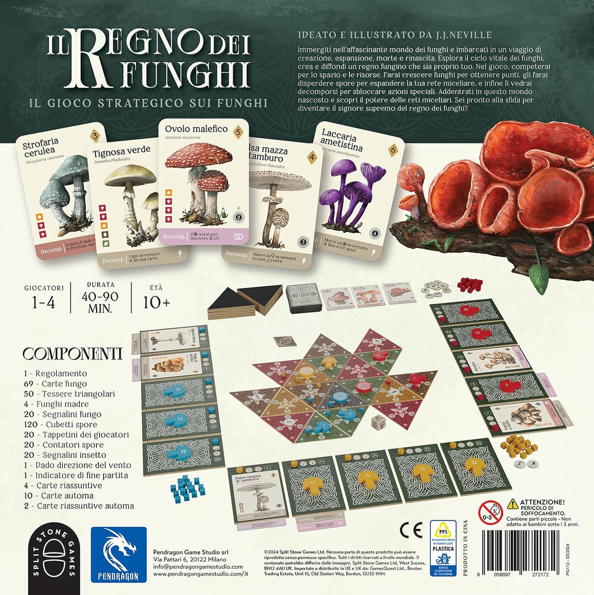 Il Regno dei Funghi