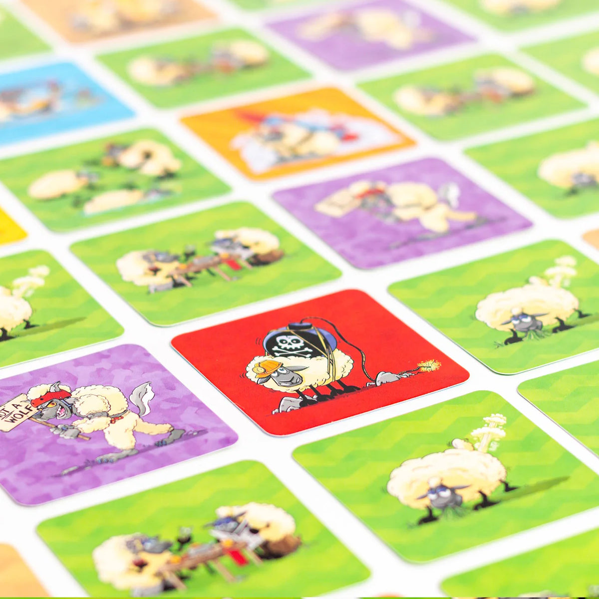 Sheep Showdown